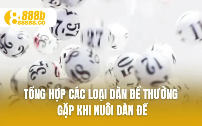 Tổng hợp các loại dàn đề thường gặp khi nuôi dàn đề