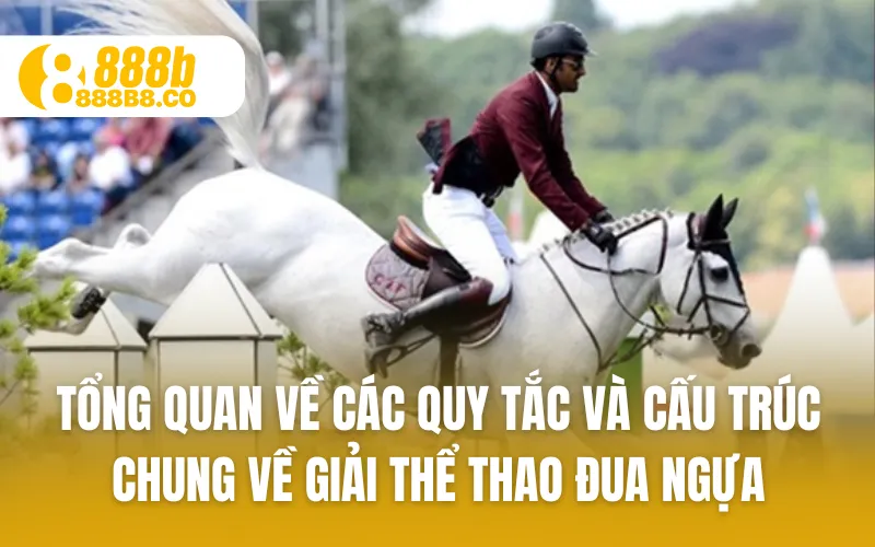 Tổng quan về các quy tắc và cấu trúc chung về giải thể thao đua ngựa